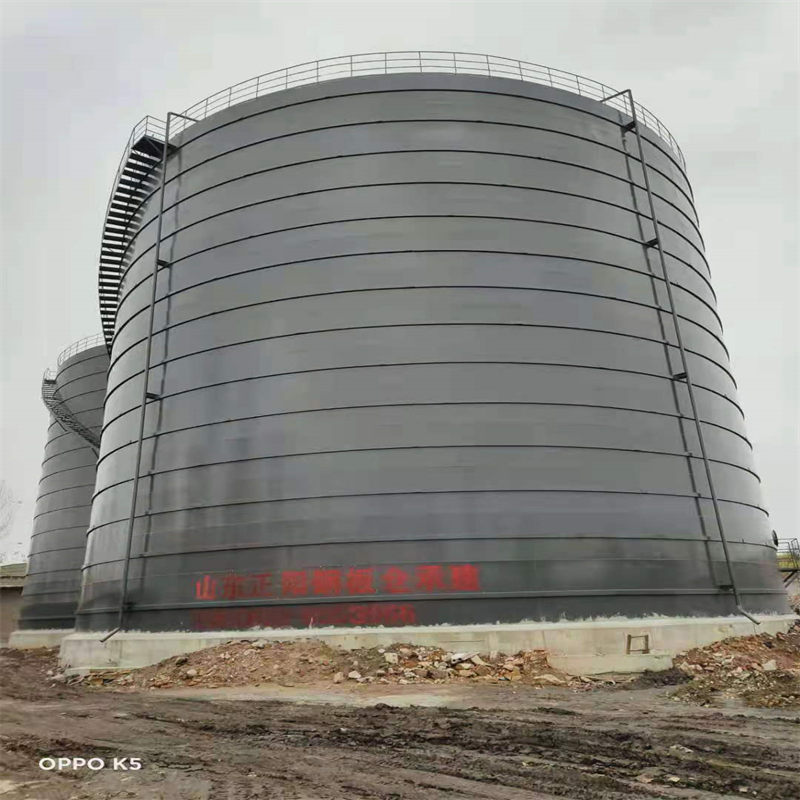 顺城3万吨大型钢板库